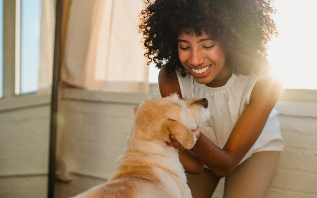 What to Look for in a Pet Sitter: 10 Essential Qualities for Peace of Mind